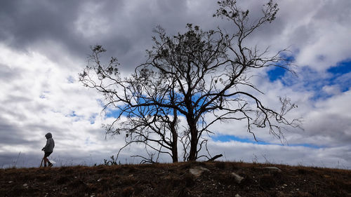 Bare tree on field against sky