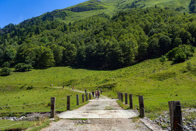 Scenic view of green landscape against sky