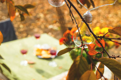 Close-up of table in the garden. thanksgiving celebration concept