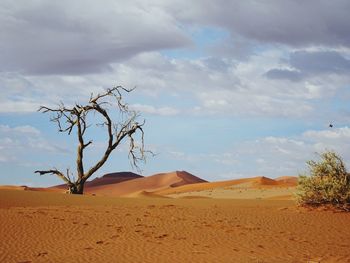 Scenic view of desert against sky