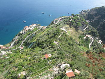 High angle view of plants and sea