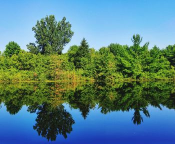 Reflection of trees in lake against blue sky