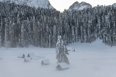 Scenic view of snow covered field