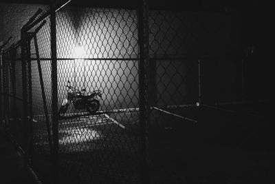 Dog seen through chainlink fence