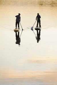 Two people rowing paddle boards in water at dusk, rear view