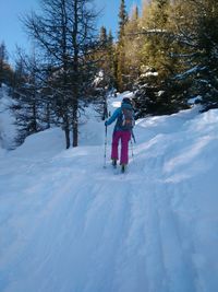 Rear view of man walking on snow covered trees