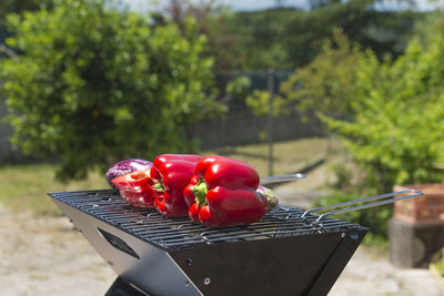 Close-up of red bell pepper on barbecue grill