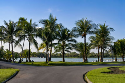 Palm trees by sea against sky