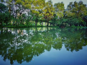 Scenic view of lake by trees against sky