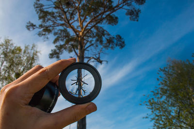 Low angle view of hand holding plant against sky