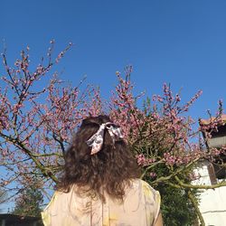 Low angle view of person standing by cherry tree against clear sky