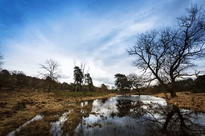 Scenic view of lake against sky