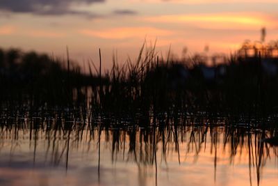 Scenic view of lake at sunset