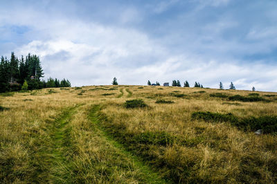 Scenic view of field against sky