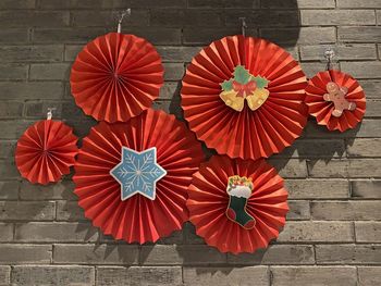 Directly above shot of red flowering plant against wall