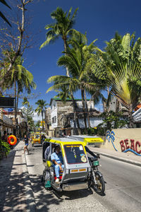 Vehicles on road by trees against sky in city