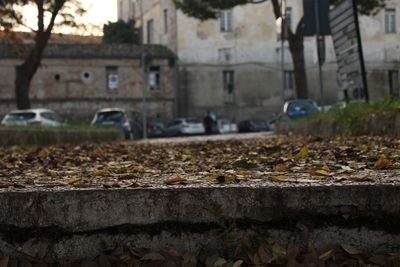 Surface level of street against buildings in city