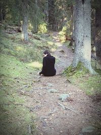 Rear view of man sitting on tree trunk in forest