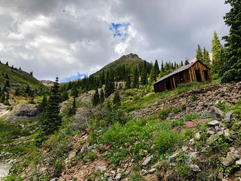 Panoramic view of trees and mountains against sky