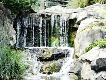 Water flowing through rocks in forest