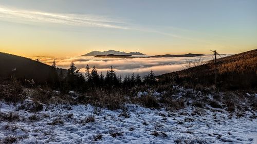 Scenic view of snow covered field against sky during sunset