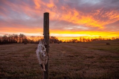 Scenic view of dramatic sky over land during sunset