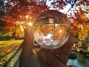 Close-up of hand holding crystal ball against trees