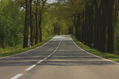 Road amidst trees in forest