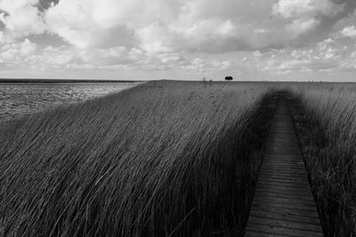 Boardwalk leading towards sea against sky