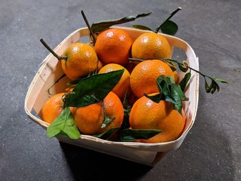 High angle view of fruits in bowl on table