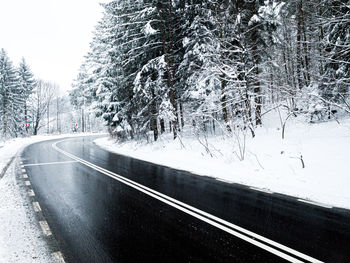 Road amidst trees during winter