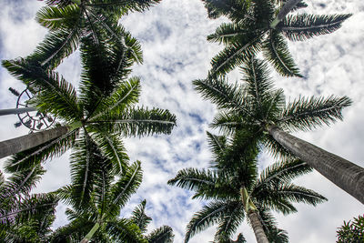 Low angle view of palm tree against sky