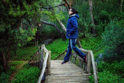 View of footbridge in forest