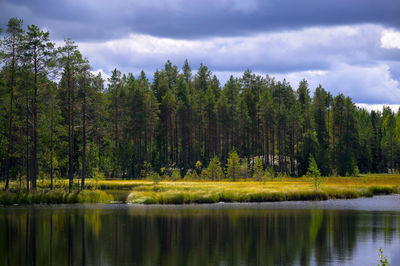 Scenic view of lake in forest against sky