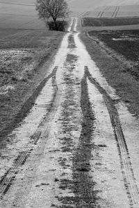 Tire tracks on road in city