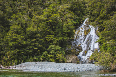 Scenic view of waterfall in forest