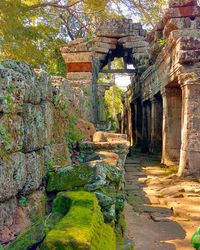 View of old ruin building