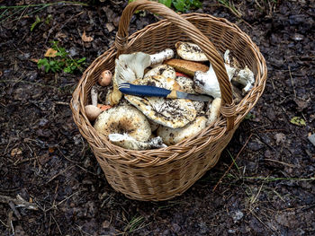 High angle view of food in basket