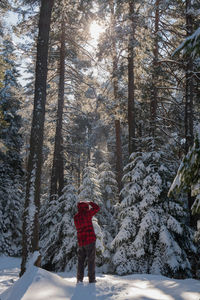 Rear view of  man walking in forest