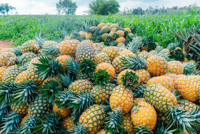 Full frame shot of pineapple