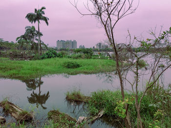 Scenic view of lake by trees against sky