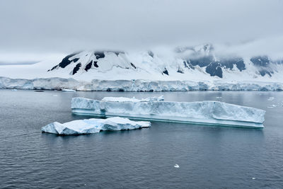 Icebergs in antarctica continent