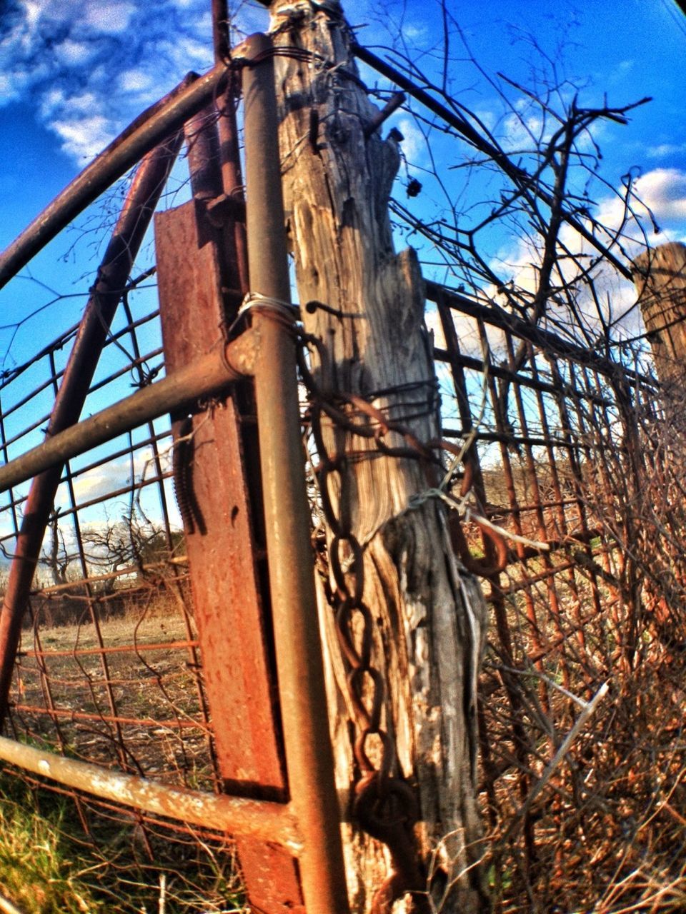 built structure, architecture, low angle view, sky, abandoned, building exterior, damaged, bare tree, old, metal, run-down, obsolete, deterioration, weathered, blue, fence, tree, rusty, day, outdoors