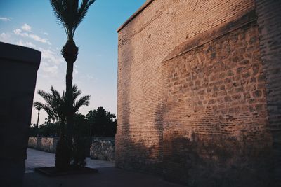Street by wall and palm trees against sky