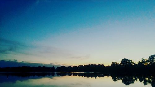 Reflection of trees in water