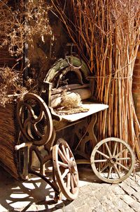Bicycles on wood
