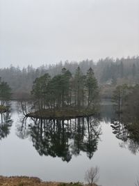 Reflection of trees in lake against sky
