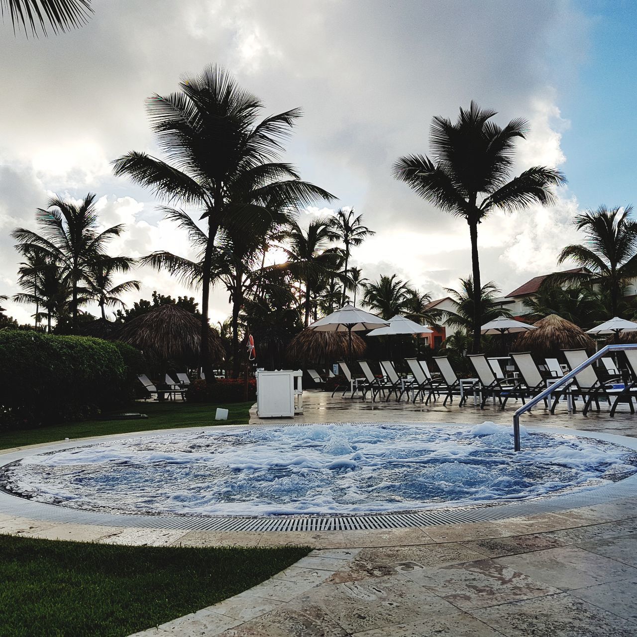 PALM TREES BY SWIMMING POOL AT BEACH