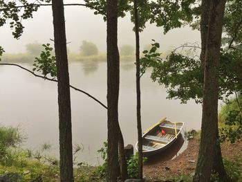 Scenic view of lake against trees