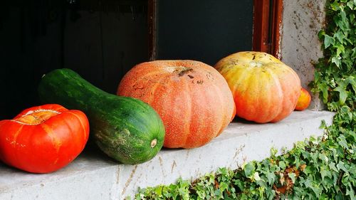 Close-up of pumpkins